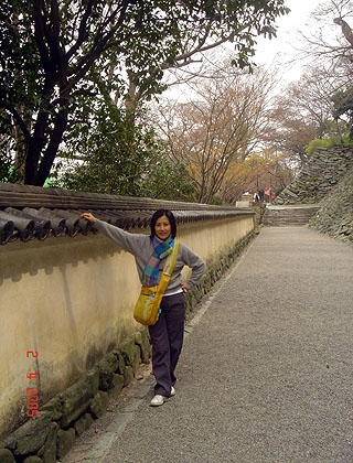 lizawang.com