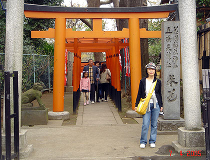 lizawang.com