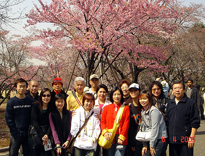 lizawang.com